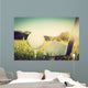 Playing golf, ball on tee and golf club. Vintage, retro style Wall Mural
