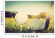 Playing golf, ball on tee and golf club. Vintage, retro style Wall Mural