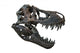 Tyrannosaurus Rex Skull Wall Decal