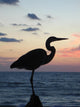 Dawn Perching Heron Wall Mural