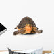 Yellow Border Box Turtle Wall Decal