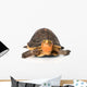 Yellow Border Box Turtle Wall Decal