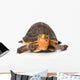 Yellow Border Box Turtle Wall Decal