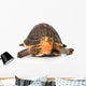 Yellow Border Box Turtle Wall Decal