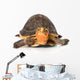 Yellow Border Box Turtle Wall Decal