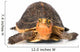 Yellow Border Box Turtle Wall Decal