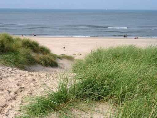 North Sea Feeling Wall Decal