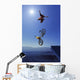 Cyclist Going Off Jump Into Water Wall Mural