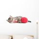 Kitten Playing Red Clew Isolated on White 