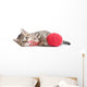 Kitten Playing Red Clew Isolated on White 