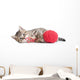 Kitten Playing Red Clew Isolated on White 