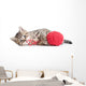 Kitten Playing Red Clew Isolated on White 