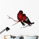Two Snyahir Sitting Branch Wall Decal