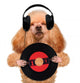 Music Headphone Vinyl Record Dog Wall Decal