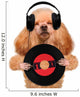 Music Headphone Vinyl Record Dog Wall Decal