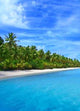 Tropical Coast Wall Decal Design 1