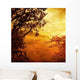 Golden Sunset Wall Decal