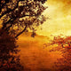 Golden Sunset Wall Decal