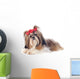 Shih Tzu Wall Decal