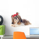 Shih Tzu Wall Decal