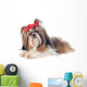 Shih Tzu Wall Decal