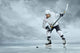 Ice Hockey Players Ice Wall Decal