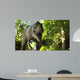 T-Rex 3D front 