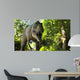 T-Rex 3D front 