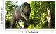 T-Rex 3D front 