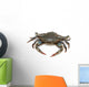 Blue Crab 