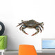 Blue Crab 