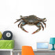 Blue Crab 
