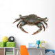 Blue Crab 