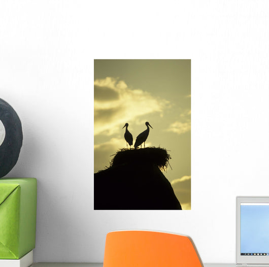 white storks on nest on rock at sunset Wall Mural