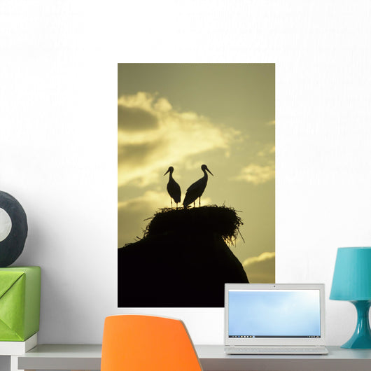 white storks on nest on rock at sunset Wall Mural