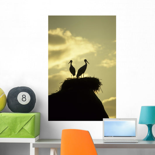 white storks on nest on rock at sunset Wall Mural