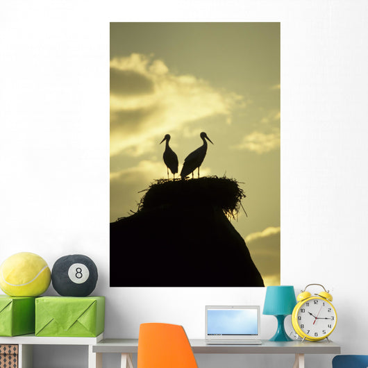 white storks on nest on rock at sunset Wall Mural