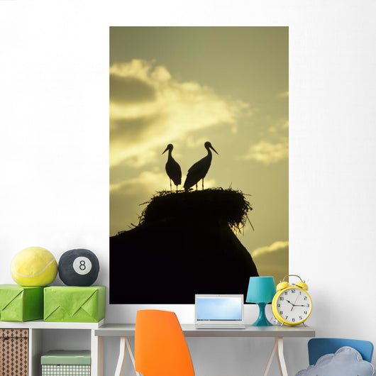 white storks on nest on rock at sunset Wall Mural