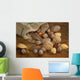 Mixed Nuts Wall Mural