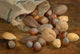 Mixed Nuts Wall Mural