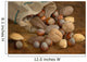 Mixed Nuts Wall Mural