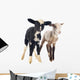 young lambs Wall Decal