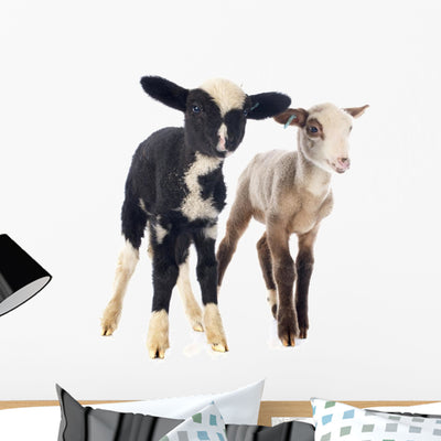 Young Lambs Wall Decal shown on a wall