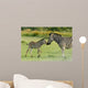 Zebra foal welcomes parent 
