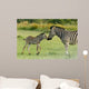 Zebra foal welcomes parent 