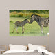 Zebra foal welcomes parent 