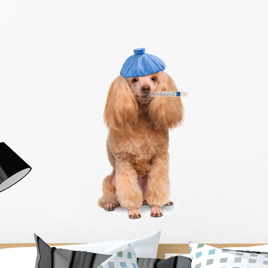 Sick Dog. Wall Decal
