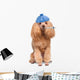 Sick Dog. Wall Decal