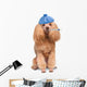 Sick Dog. Wall Decal