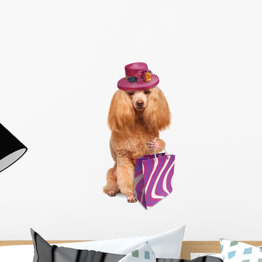 Funny Dog With Shopping Bags 